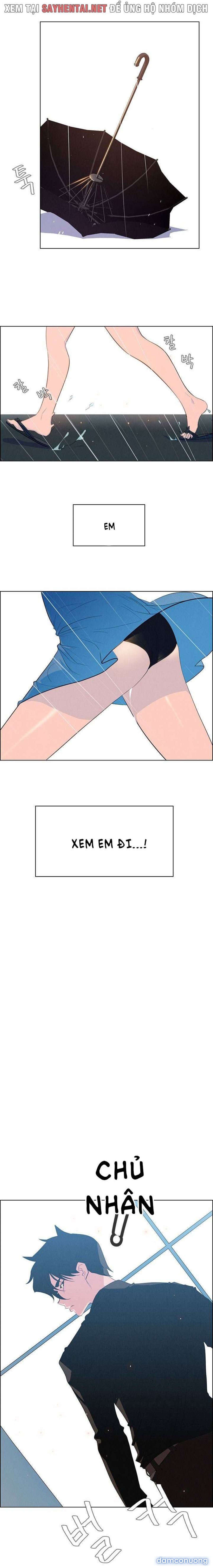 Màn Mưa 