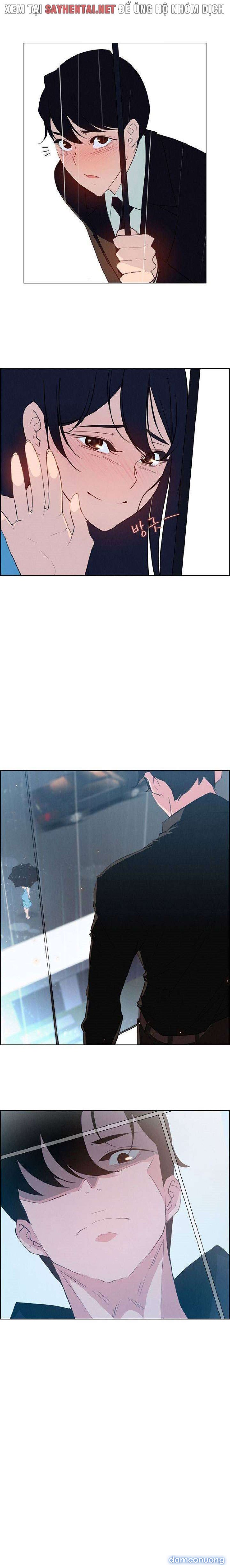 Màn Mưa 