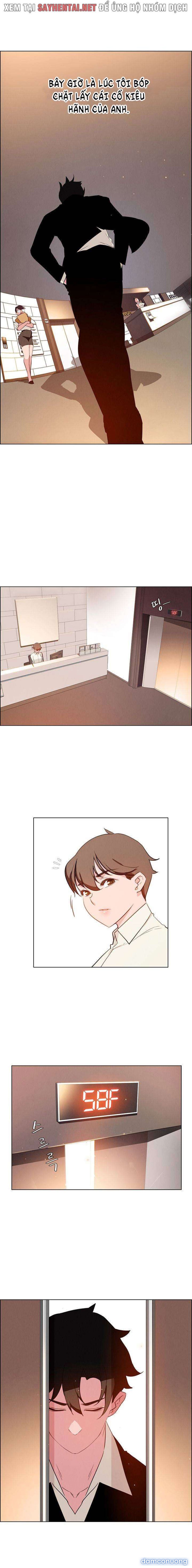 Màn Mưa 