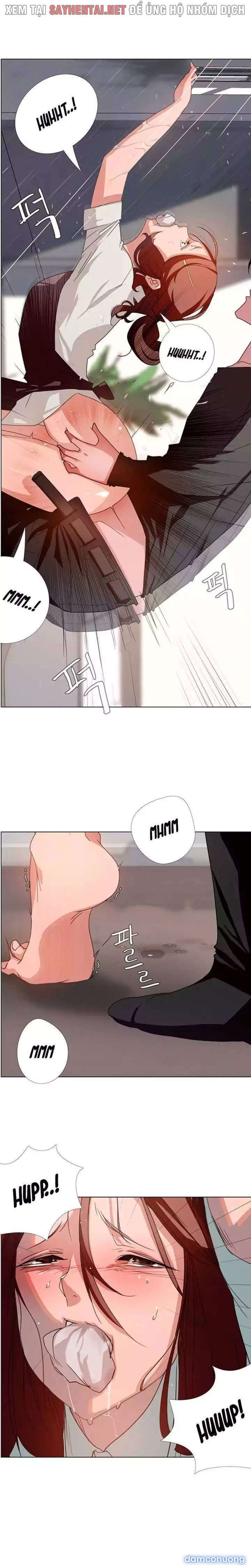 Màn Mưa 