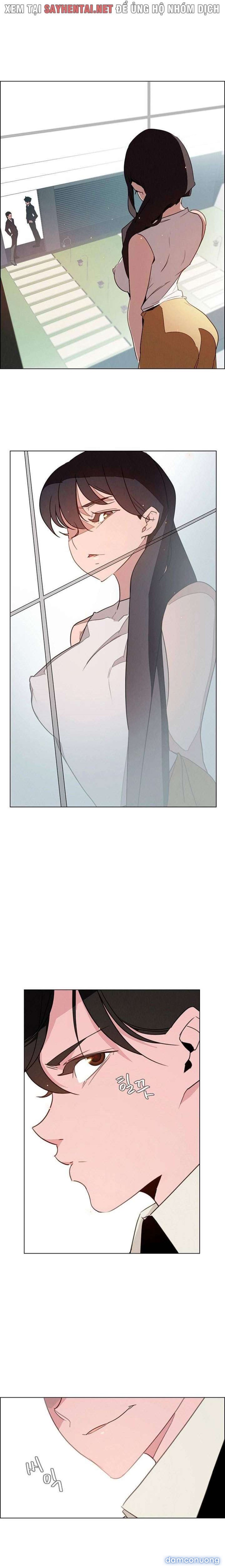 Màn Mưa 