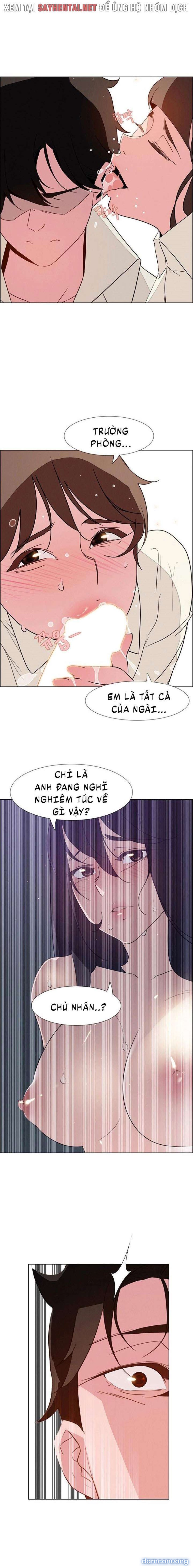 Màn Mưa 