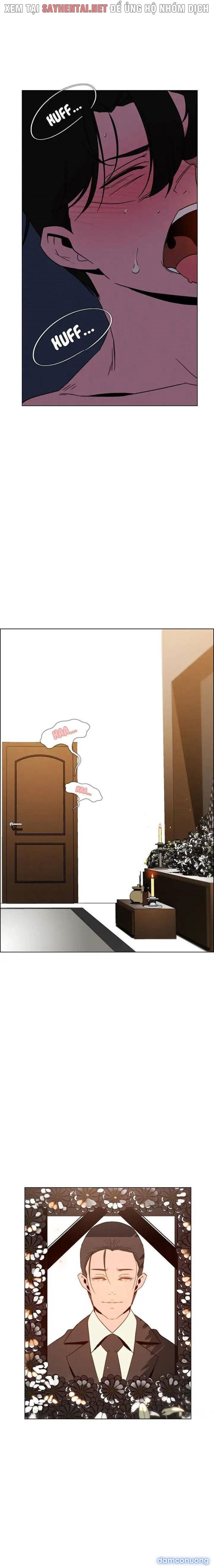 Màn Mưa 