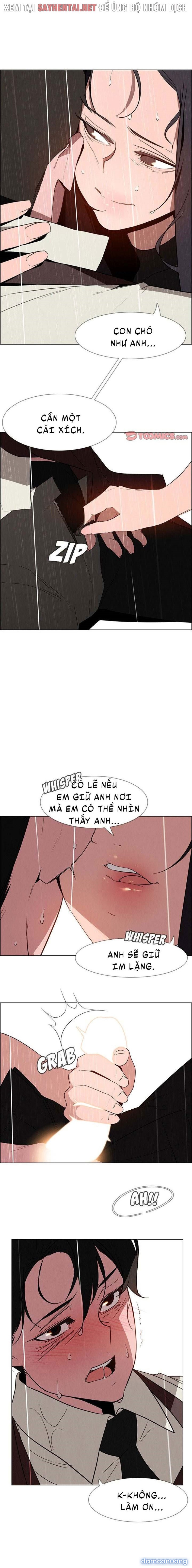Màn Mưa 