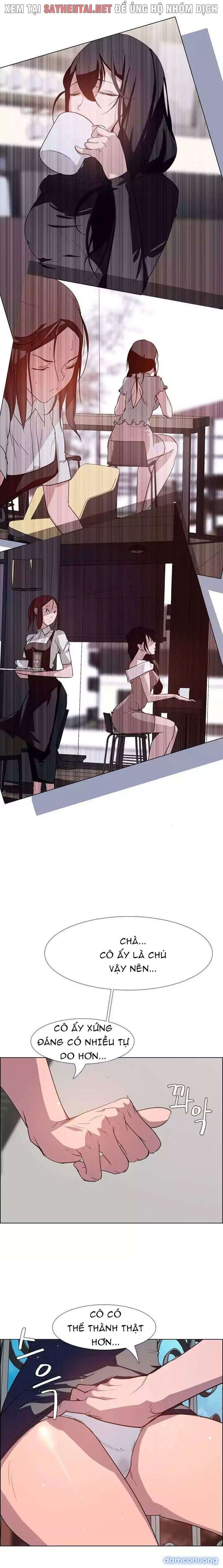 Màn Mưa 