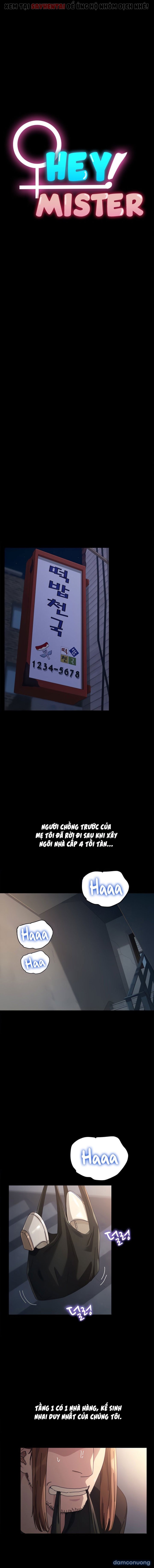 Người Đàn Ông Của Ngôi Nhà Này 
