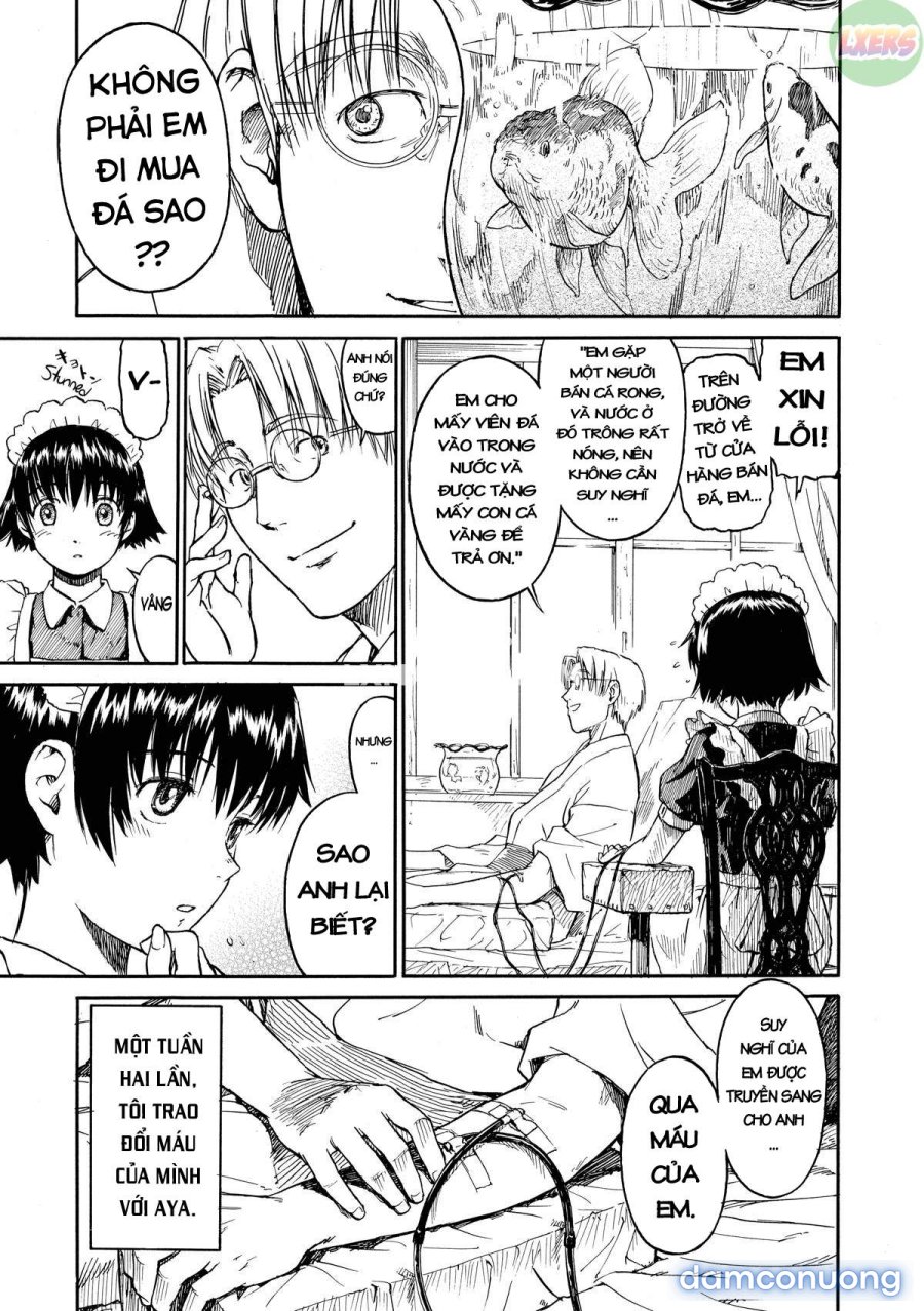Shoujo Material 