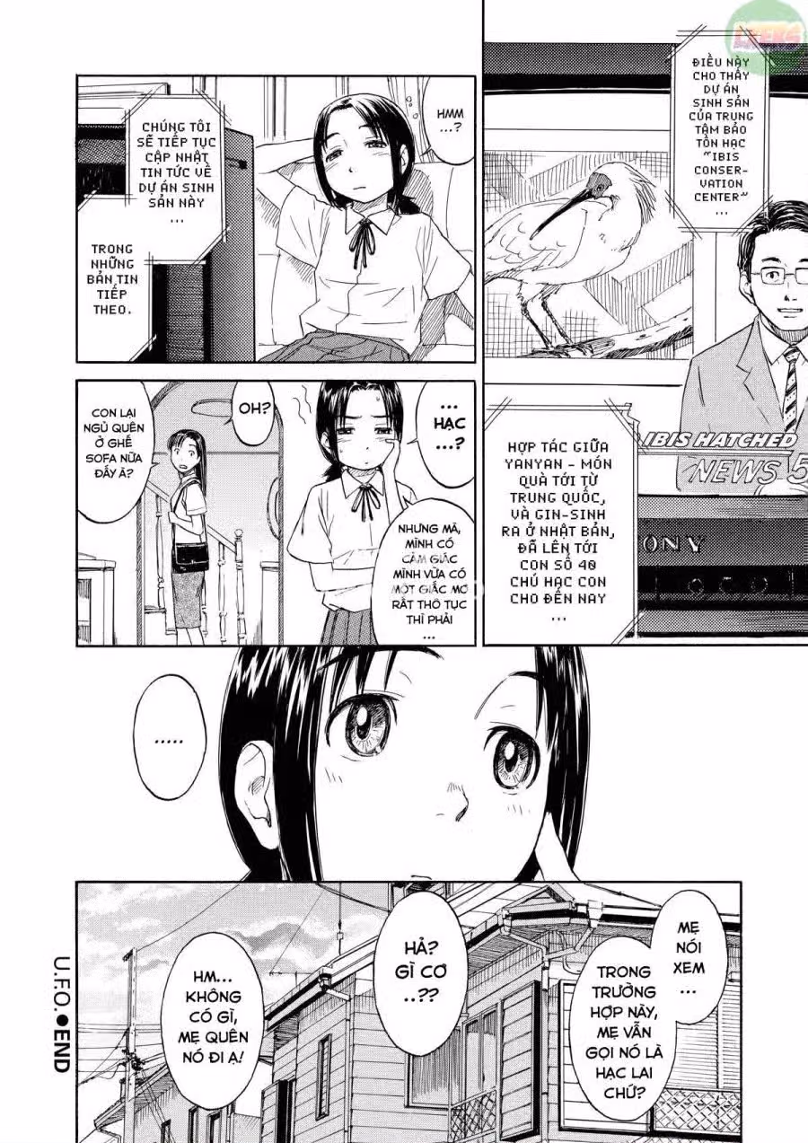 Shoujo Material 