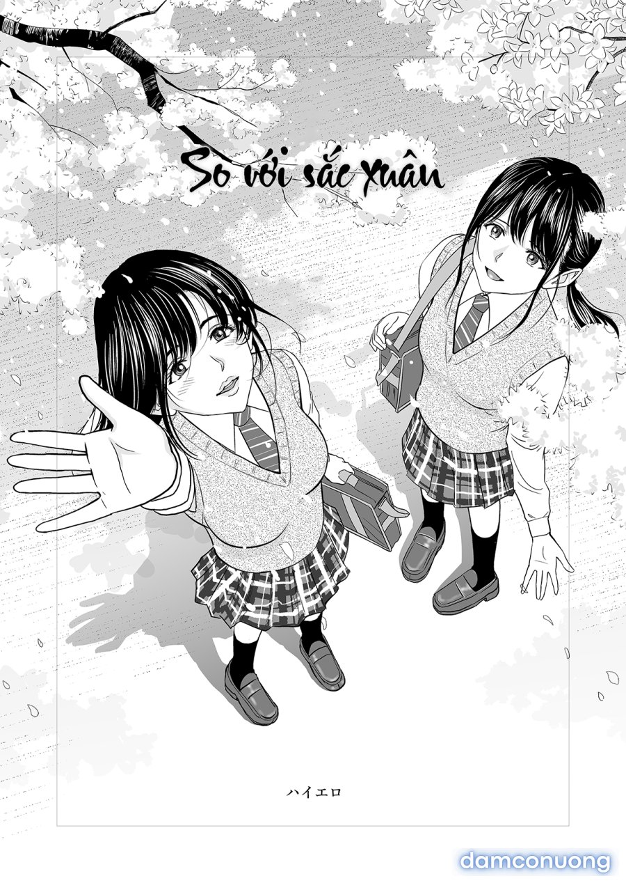 Haru Kurabe 