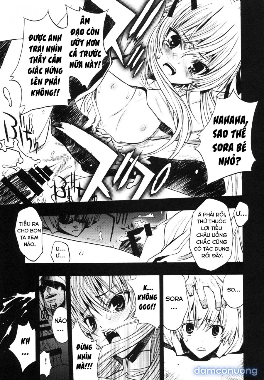 Yosuka No Yoru 