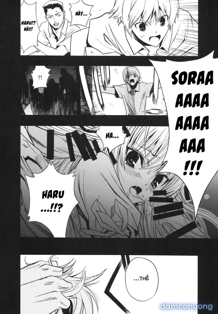 Yosuka No Yoru 