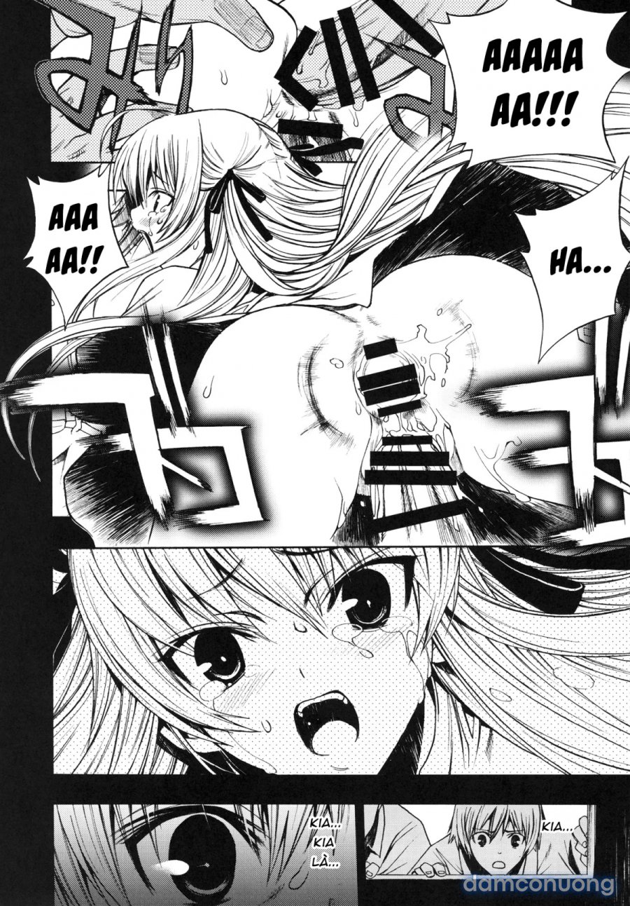Yosuka No Yoru 