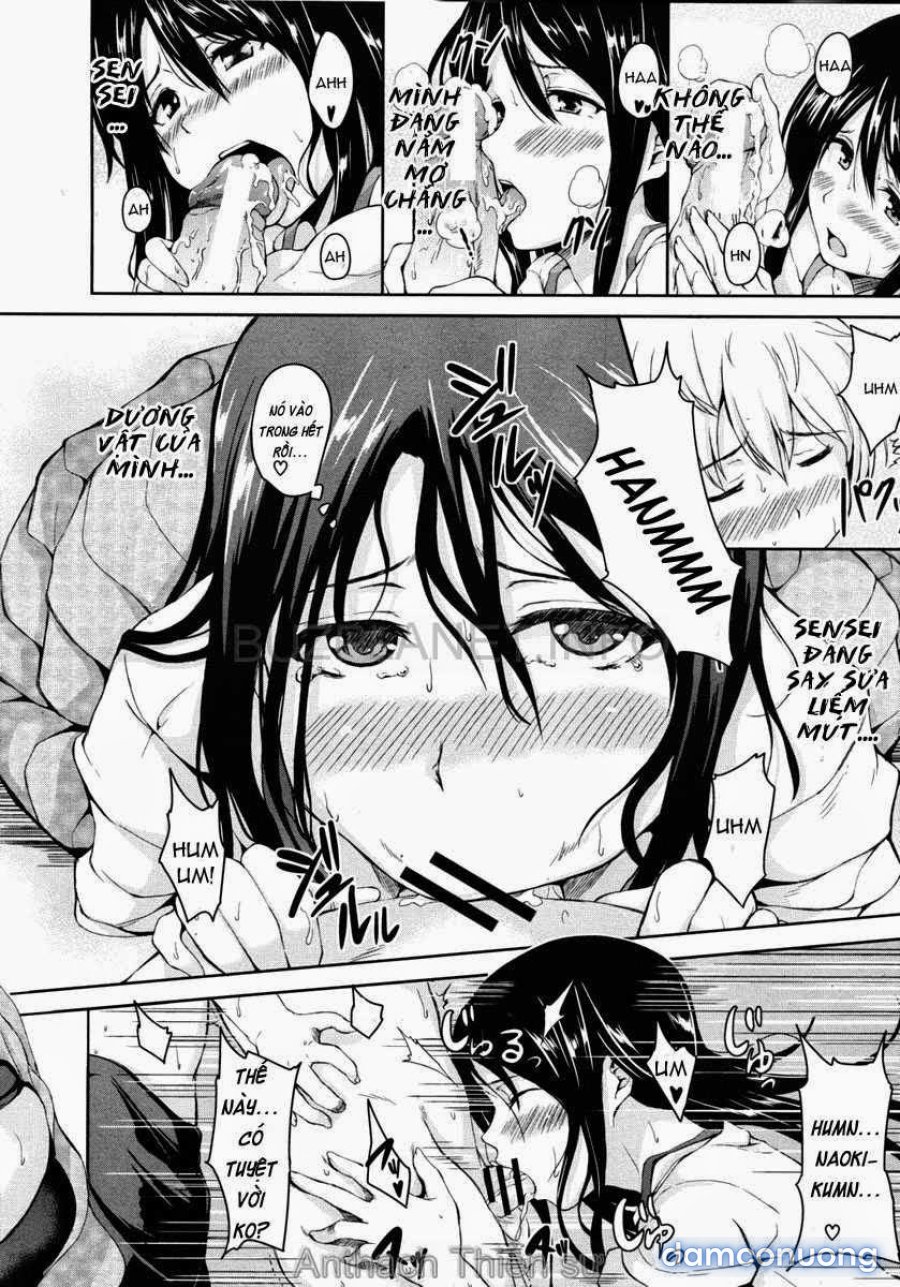 Boy Meets Harem 