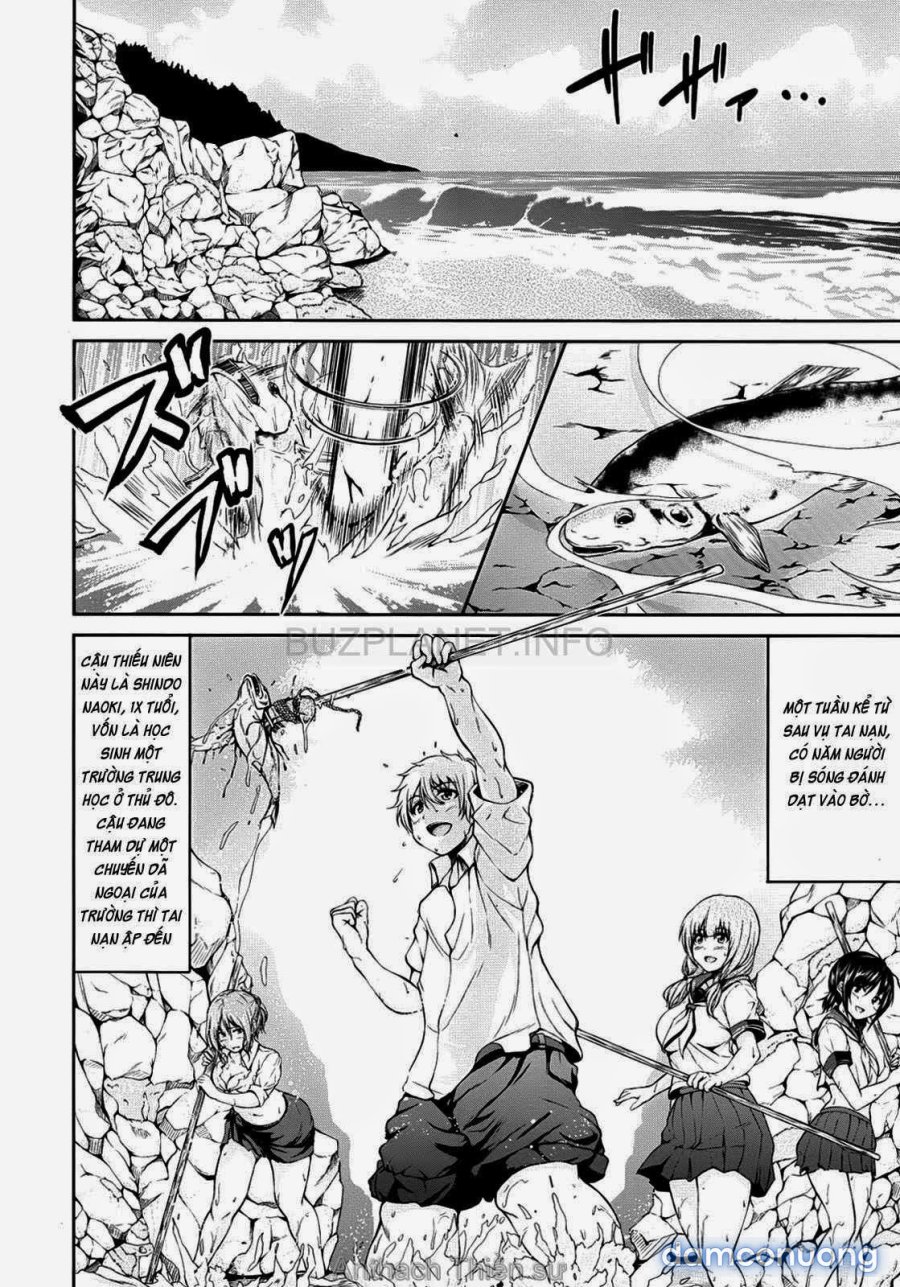 Boy Meets Harem 