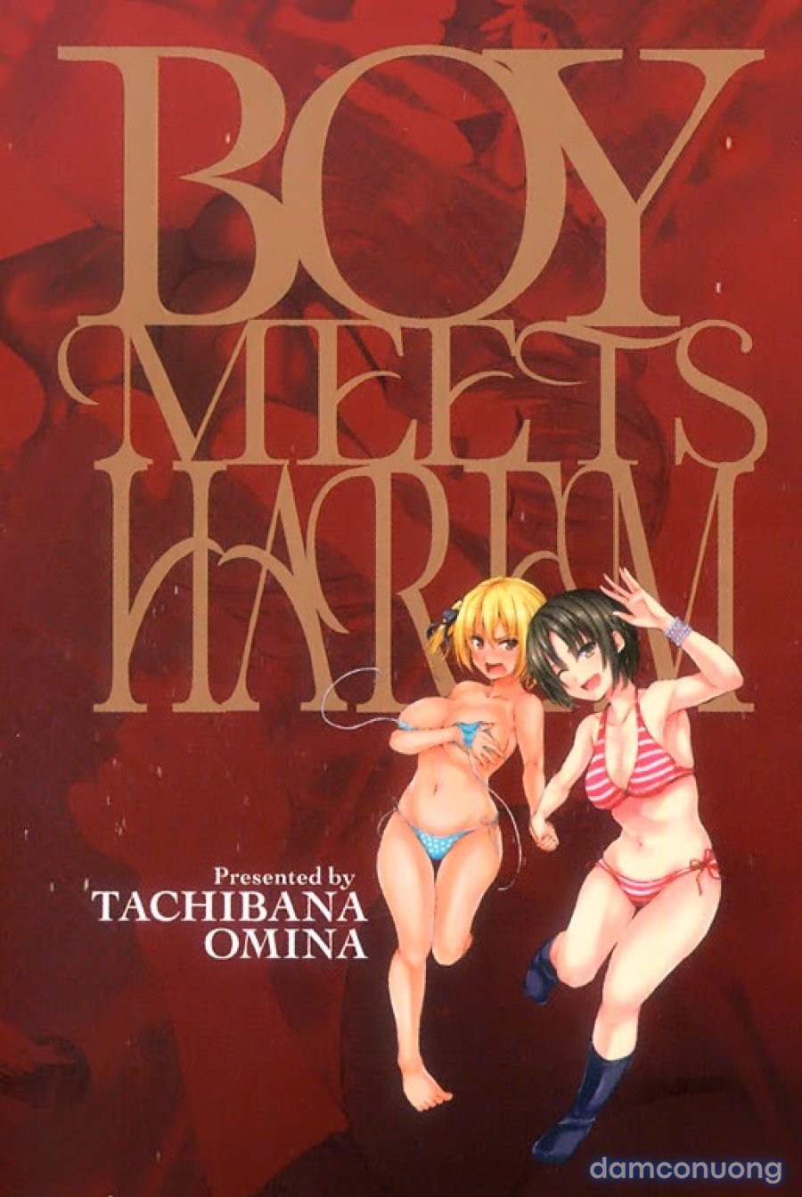 Boy Meets Harem 