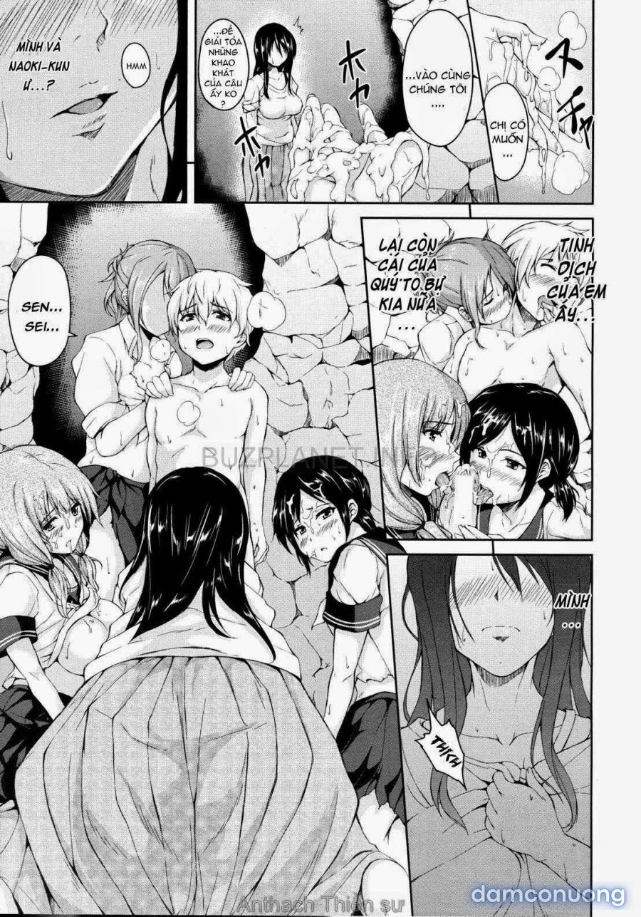 Boy Meets Harem 