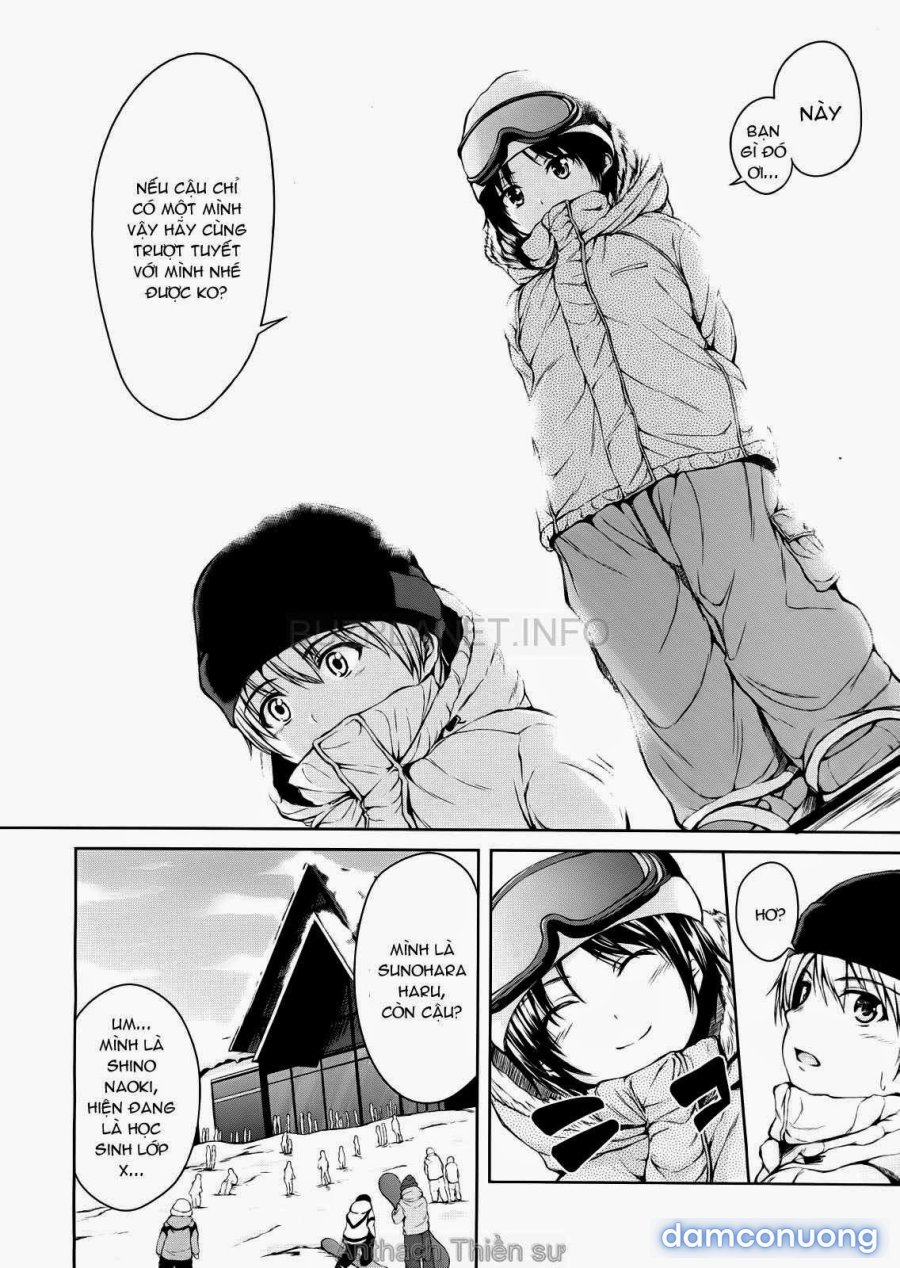 Boy Meets Harem 