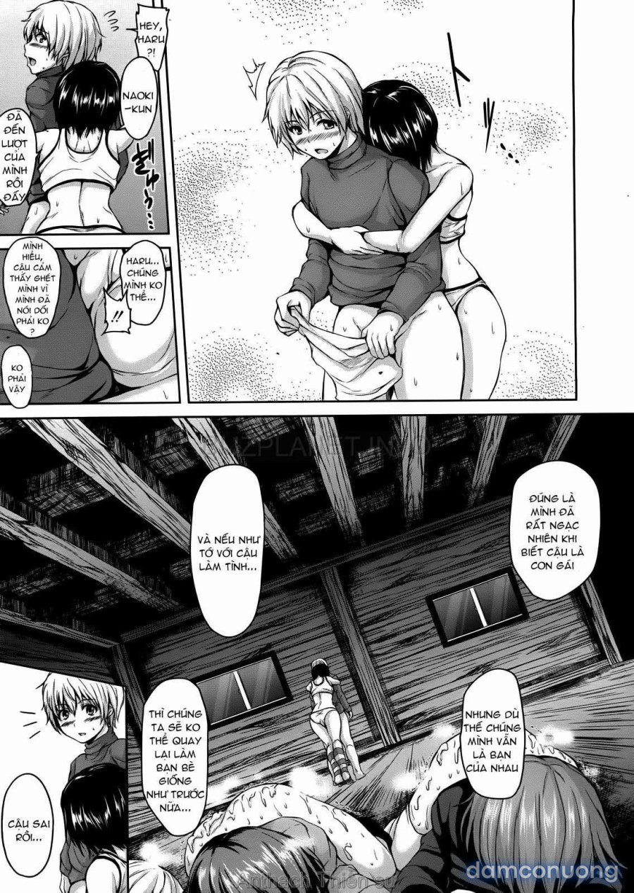 Boy Meets Harem 