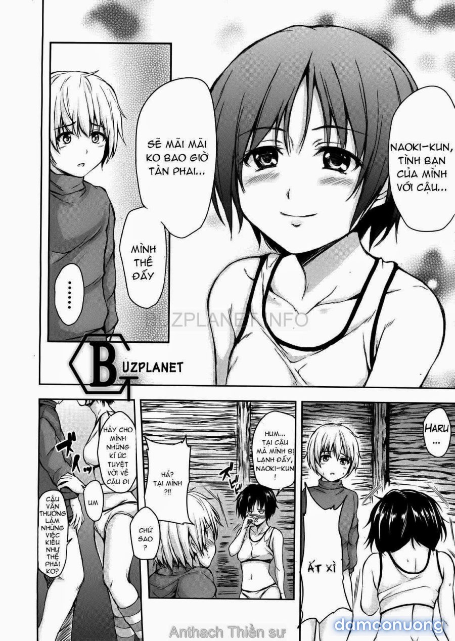 Boy Meets Harem 