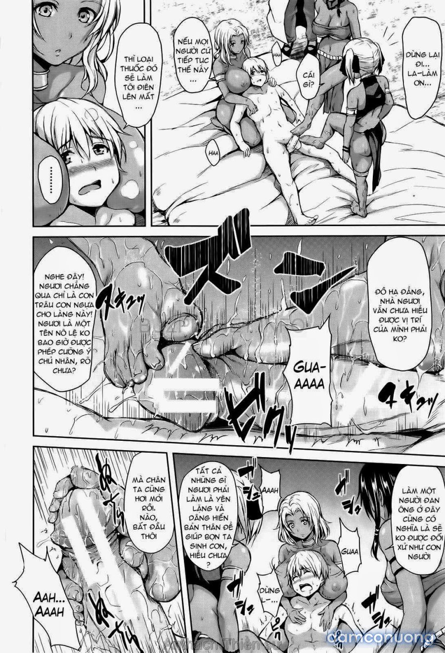 Boy Meets Harem 