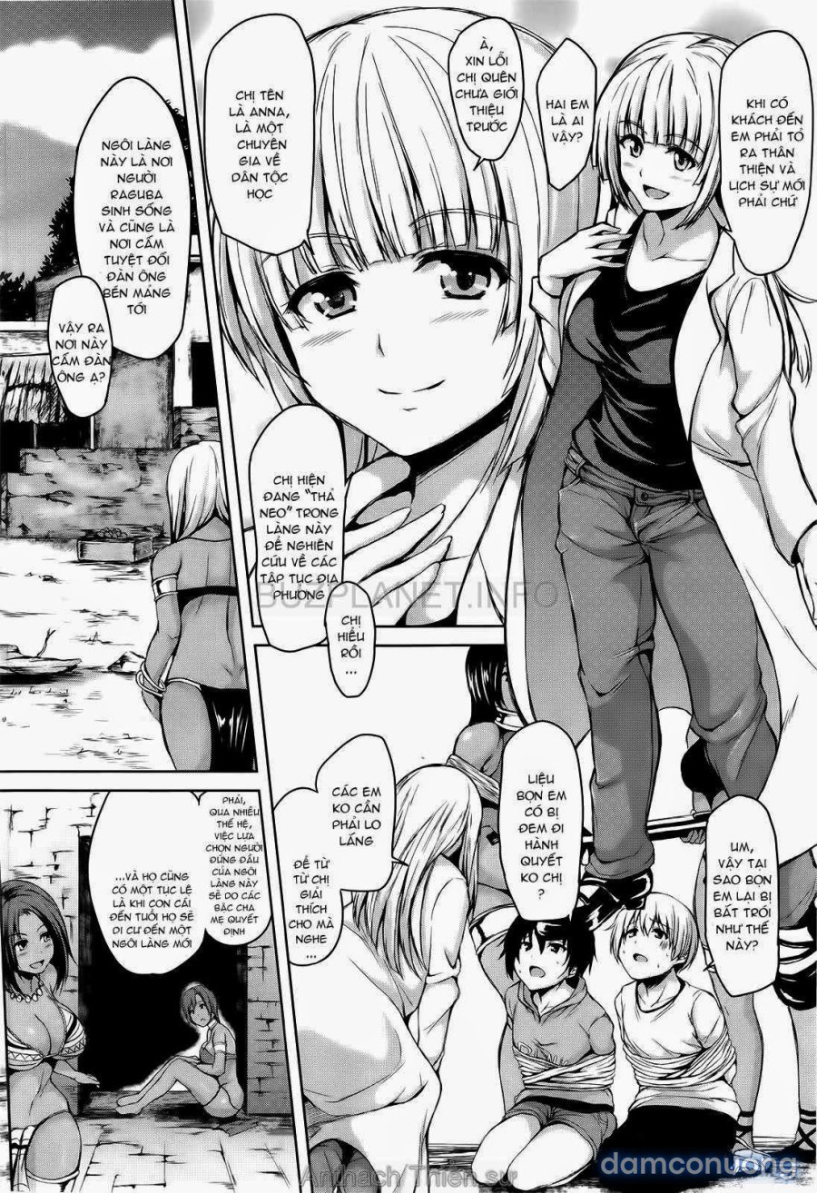 Boy Meets Harem 