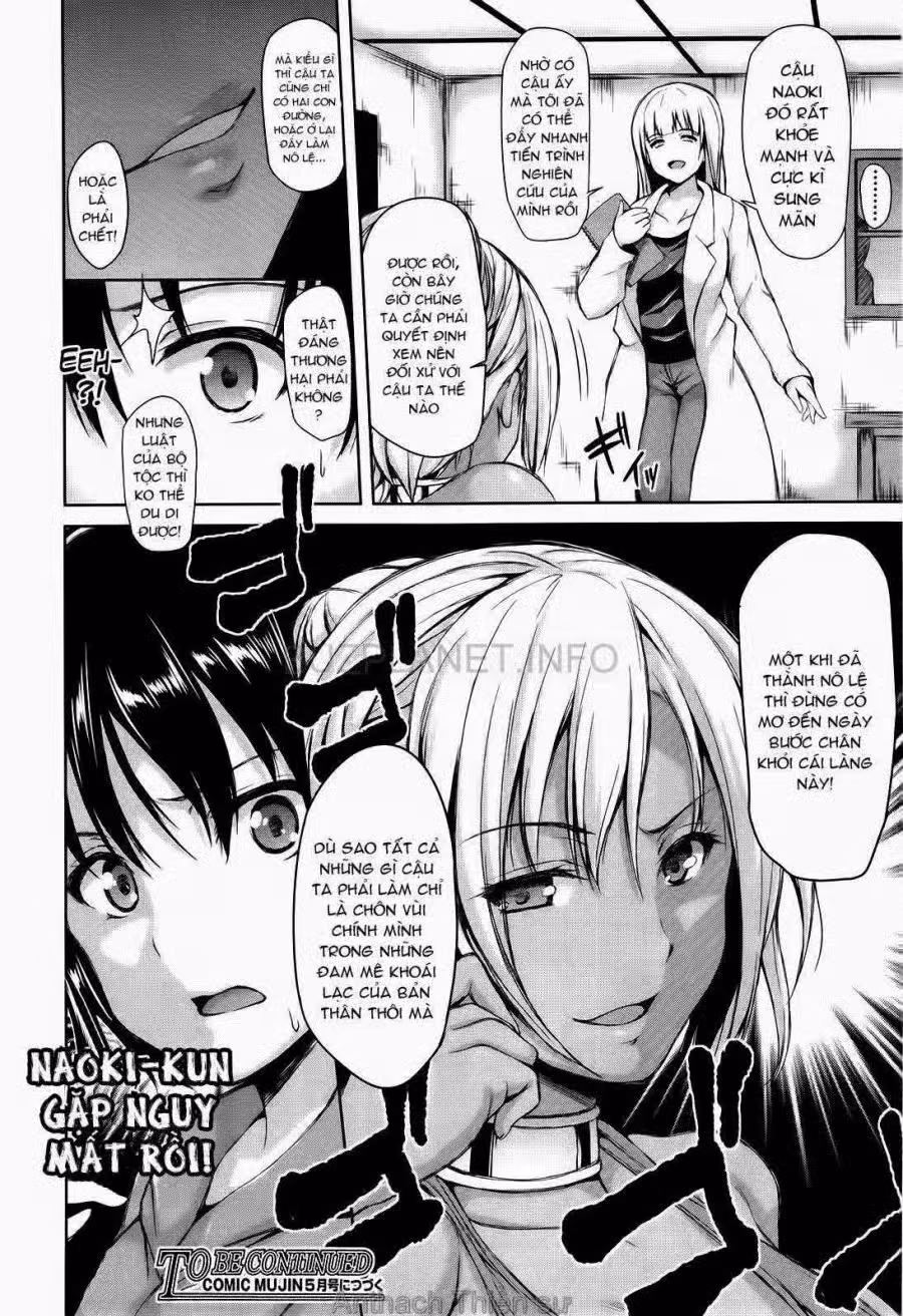 Boy Meets Harem 