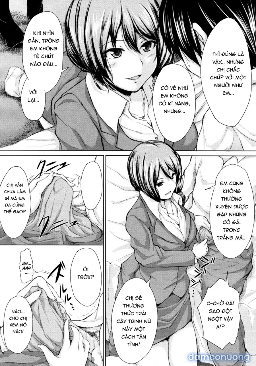 Boy Meets Harem 