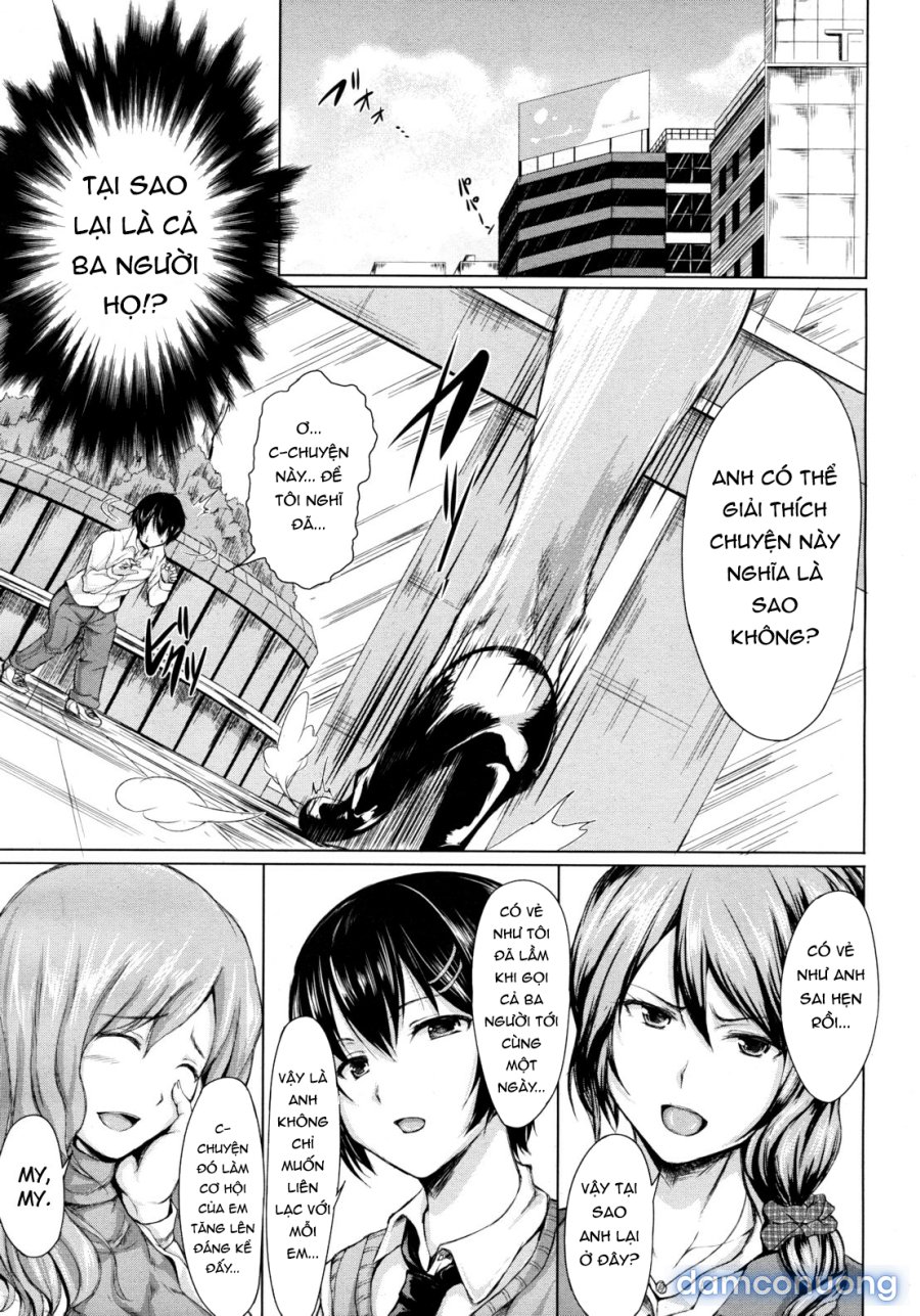 Boy Meets Harem 