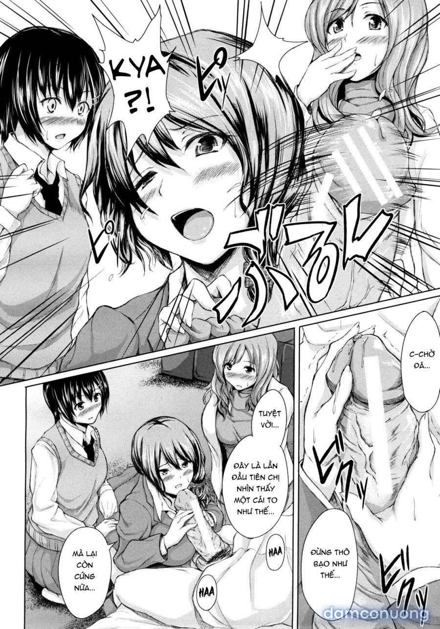 Boy Meets Harem 