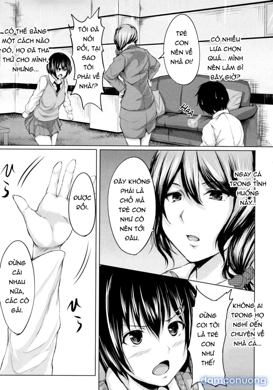 Boy Meets Harem 