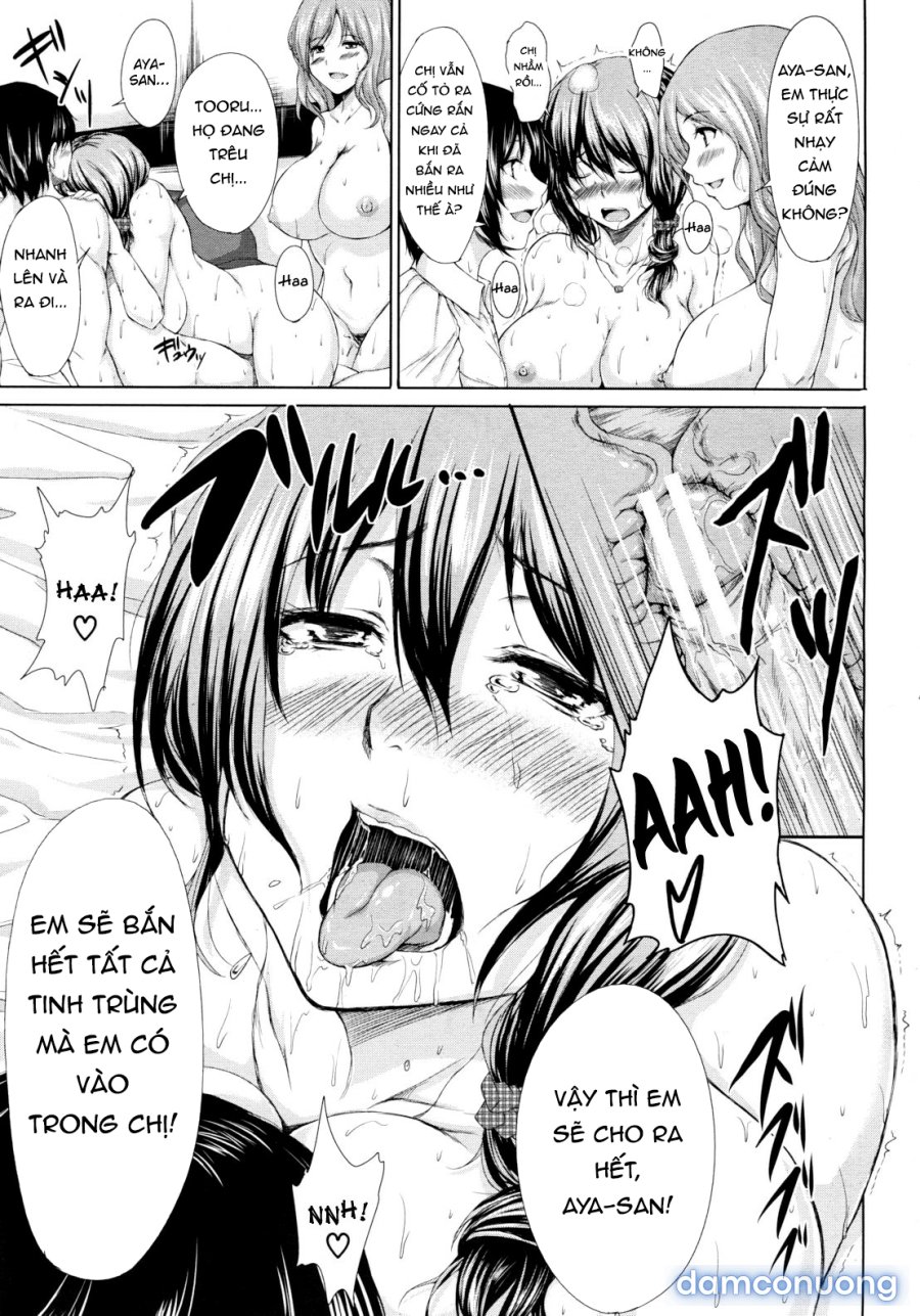 Boy Meets Harem 