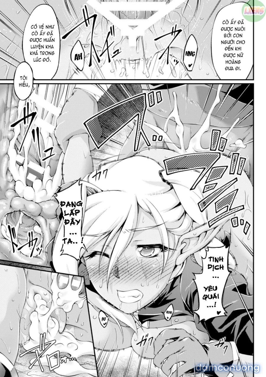 Kuroinu ~Kedakaki Seijo wa Hakudaku ni Somaru 