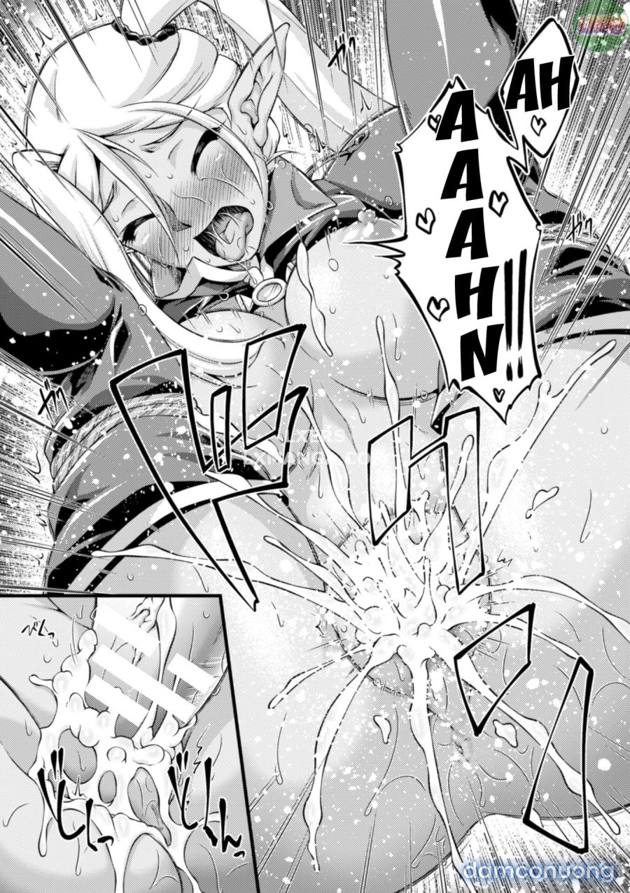 Kuroinu ~Kedakaki Seijo wa Hakudaku ni Somaru 