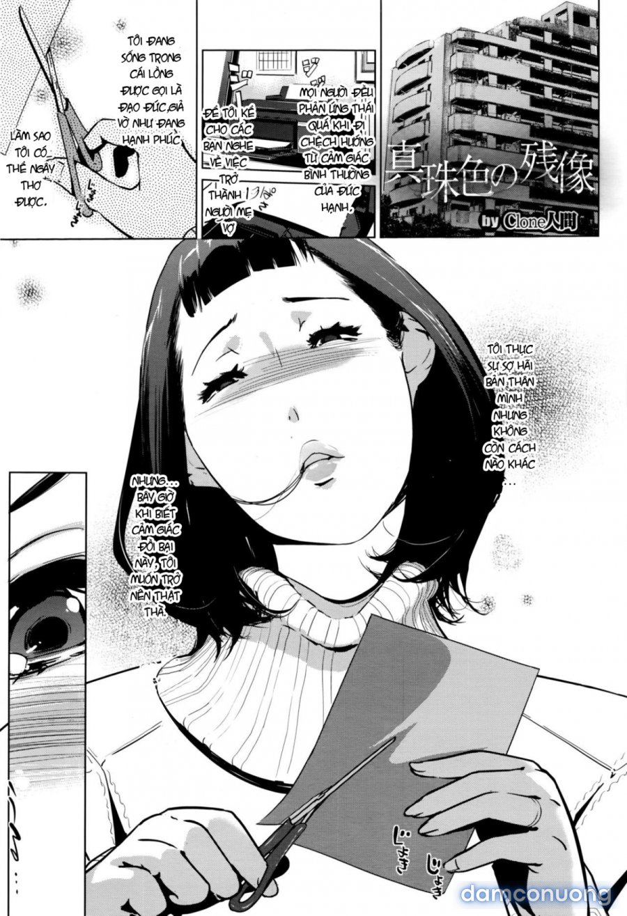 Shinjuiro no Zanzou 