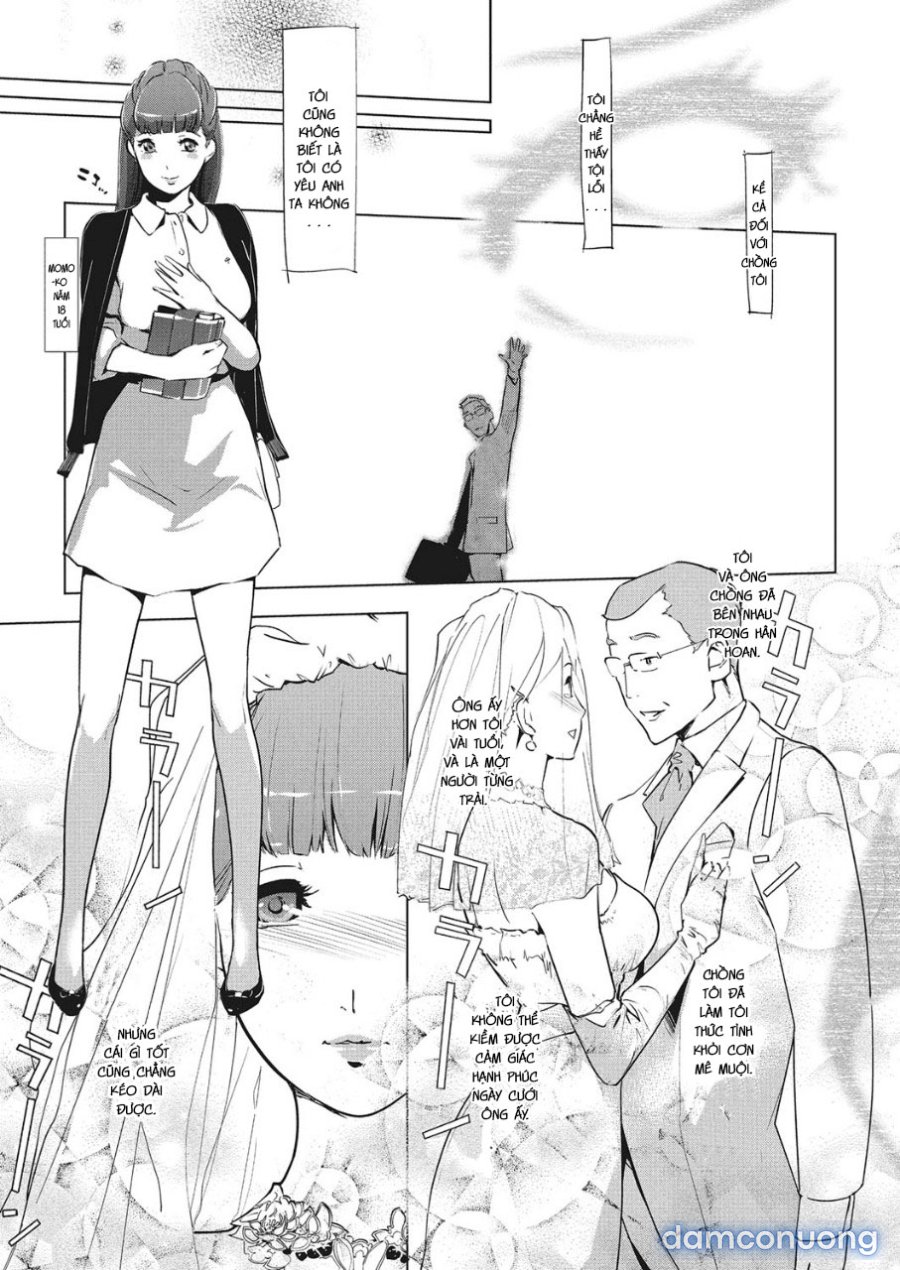 Shinjuiro no Zanzou 