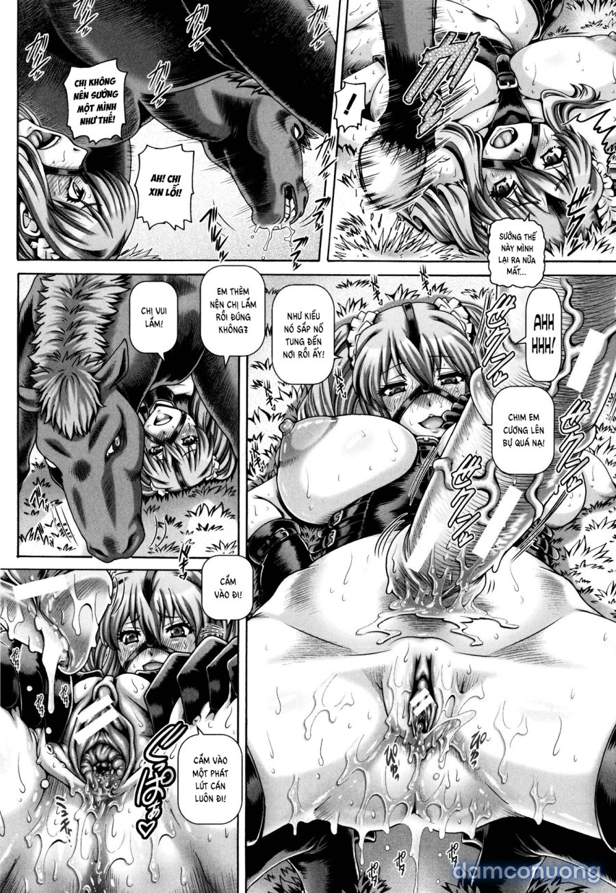 Jyuai Kantsu 