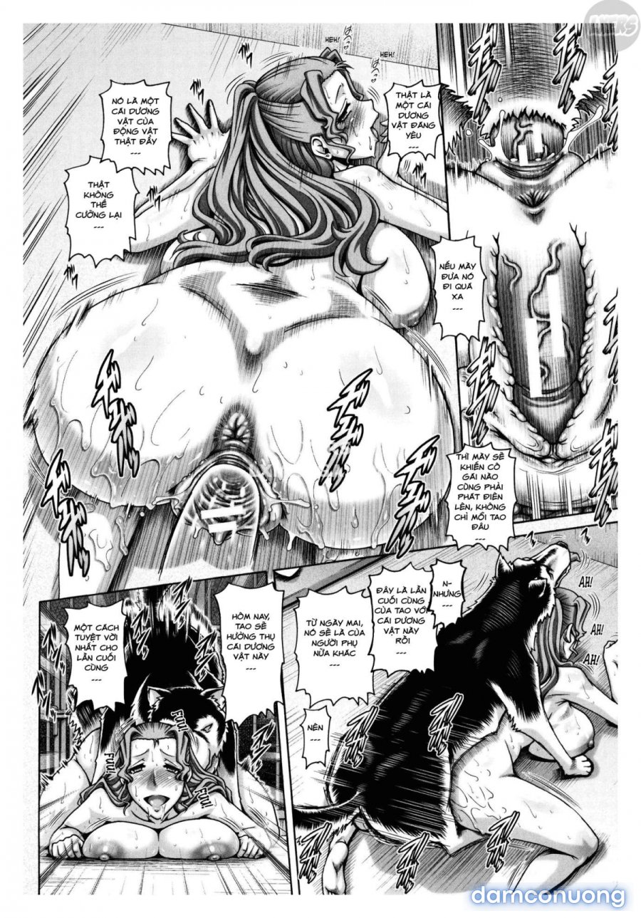 Jyuai Kantsu 