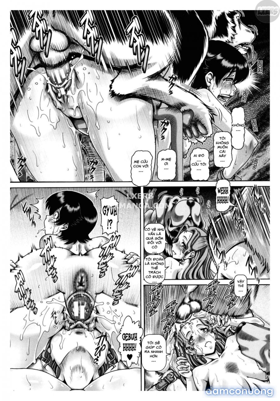 Jyuai Kantsu 