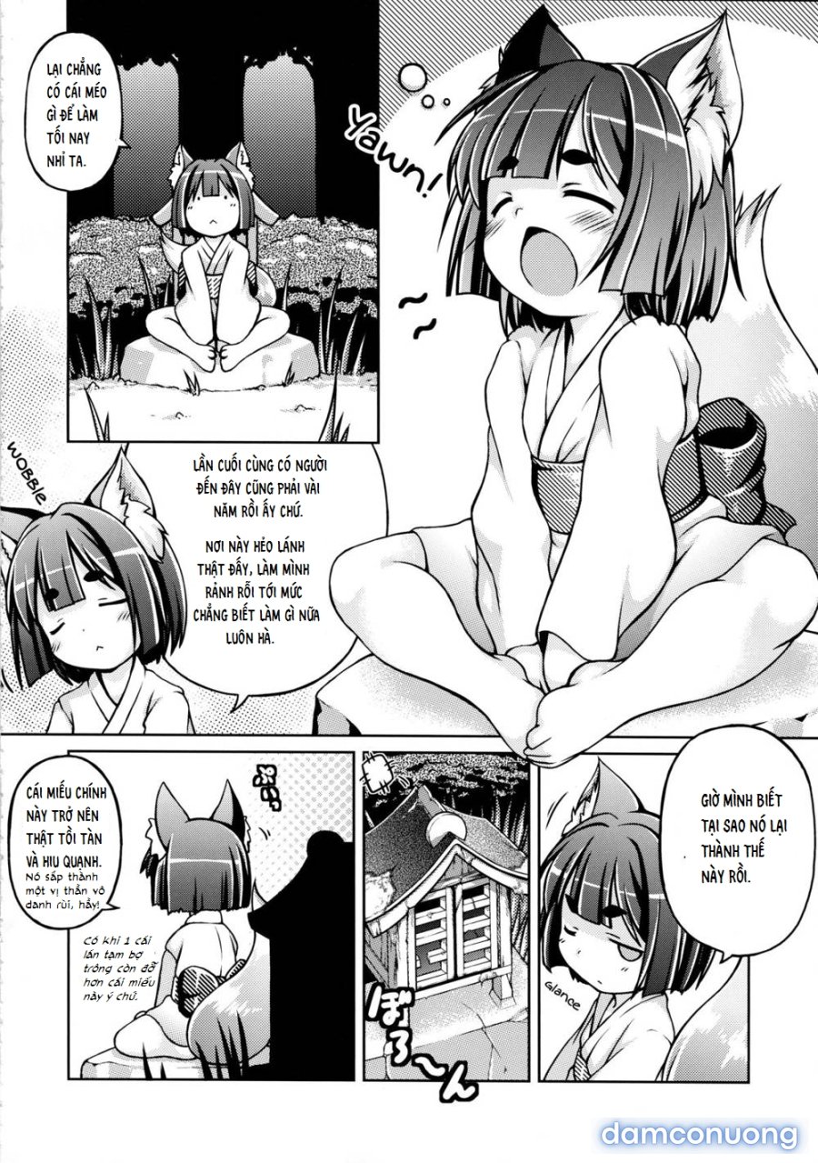 Kitsune Nomi 