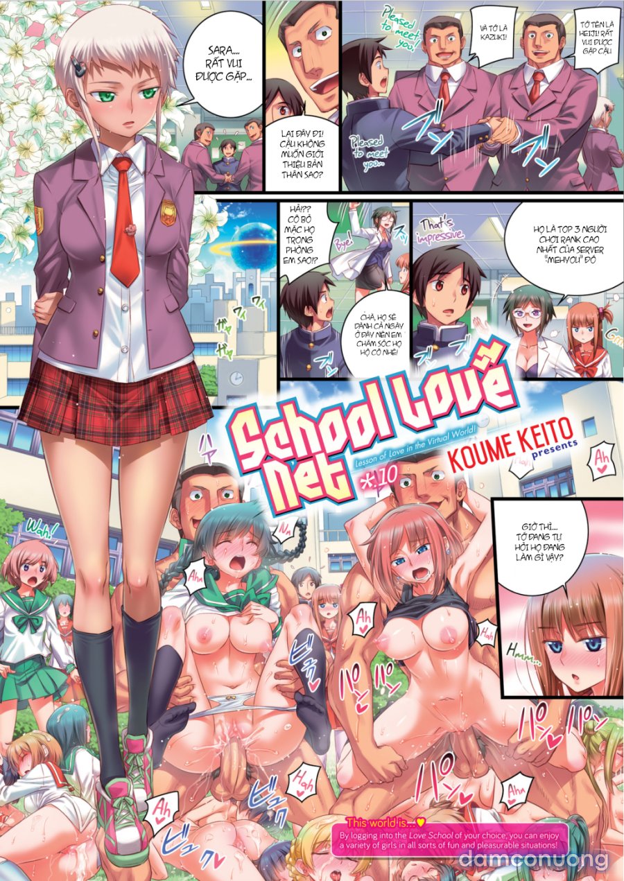 School Love Net 