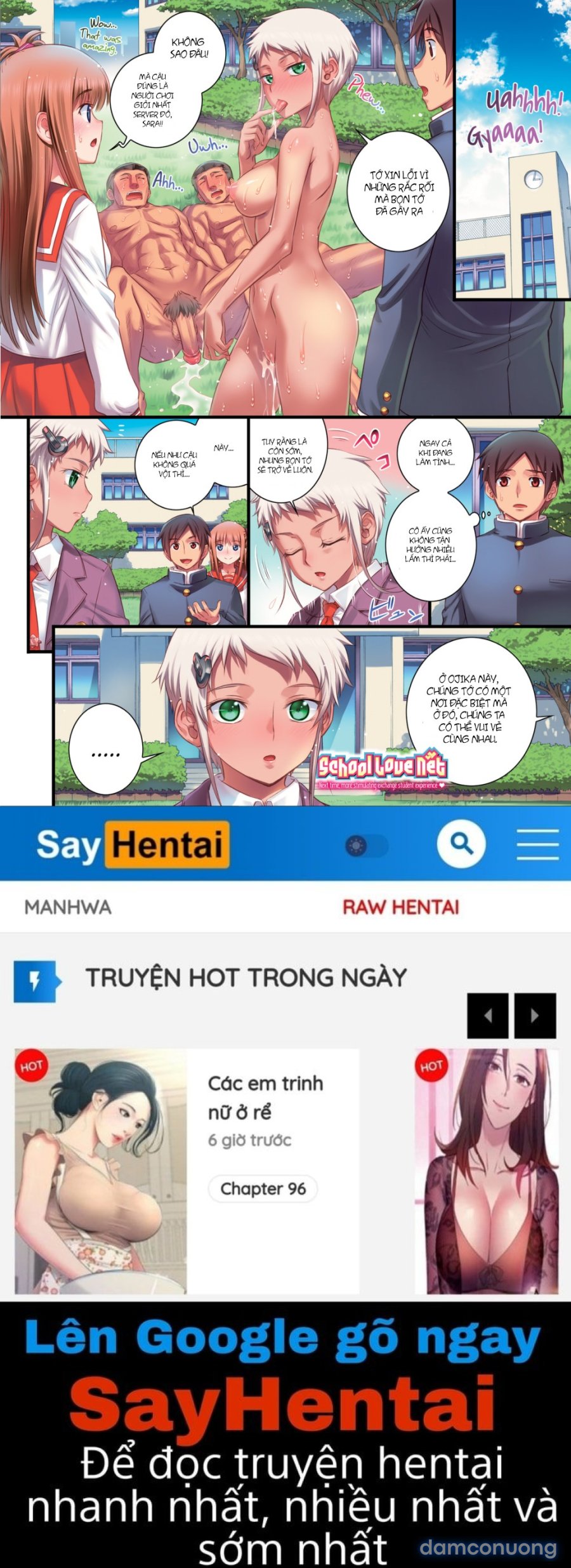 School Love Net 