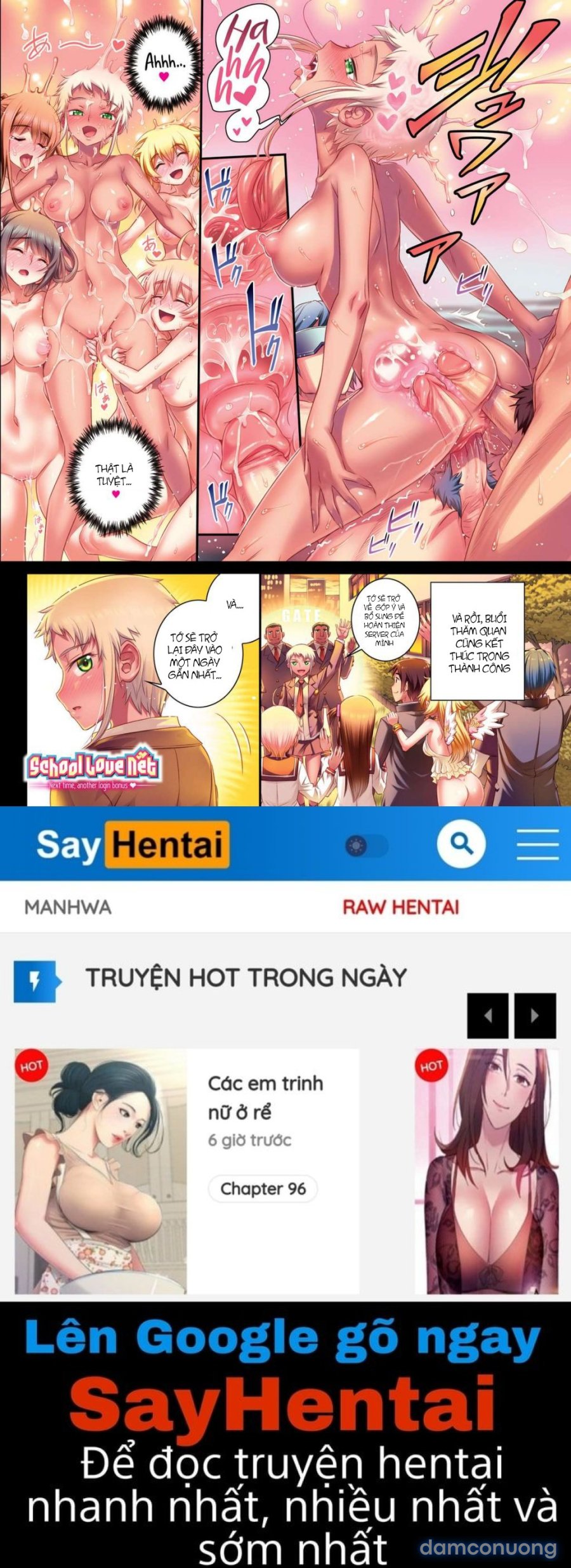 School Love Net 