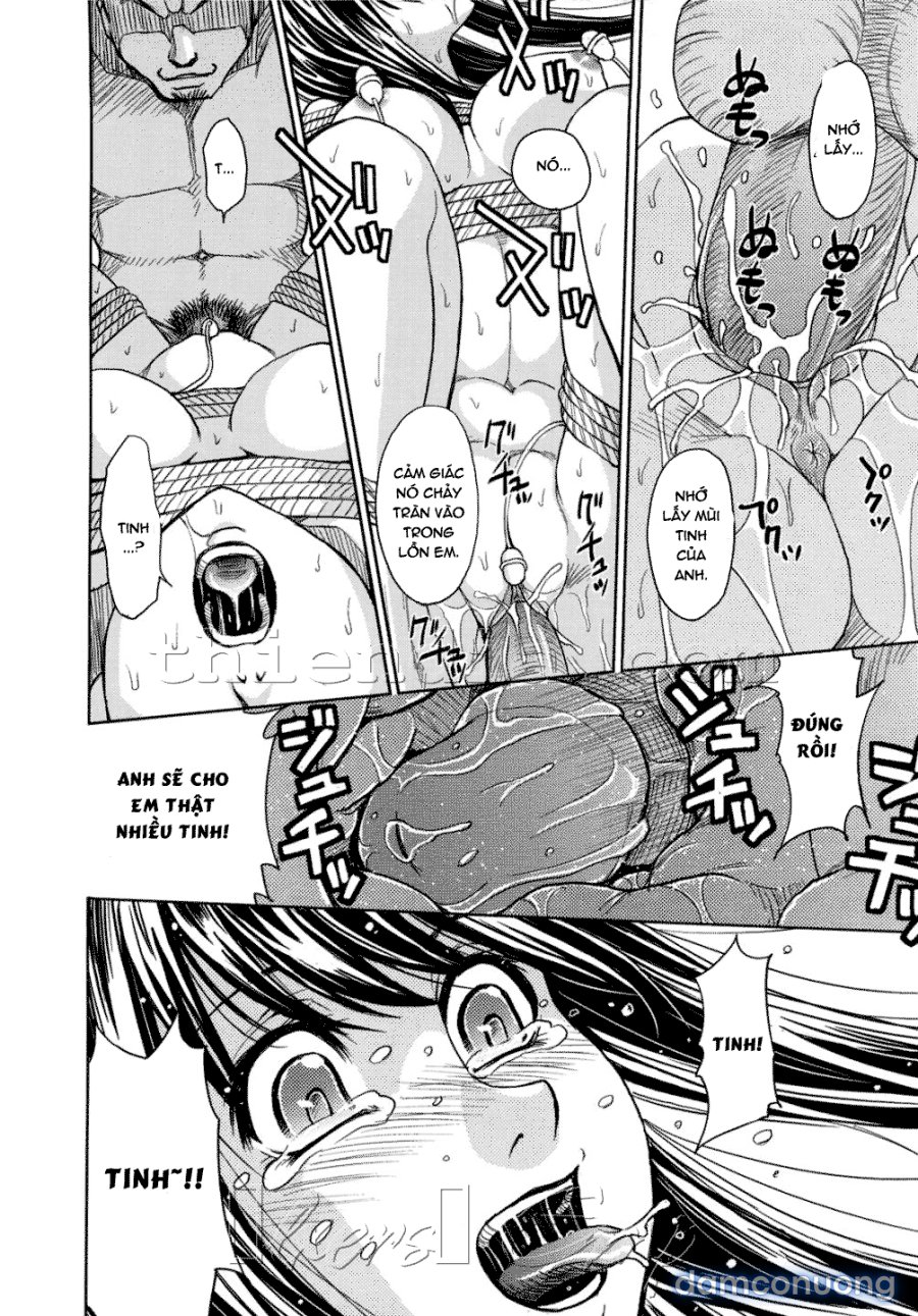 Hijiri Kangoku Gakuen 