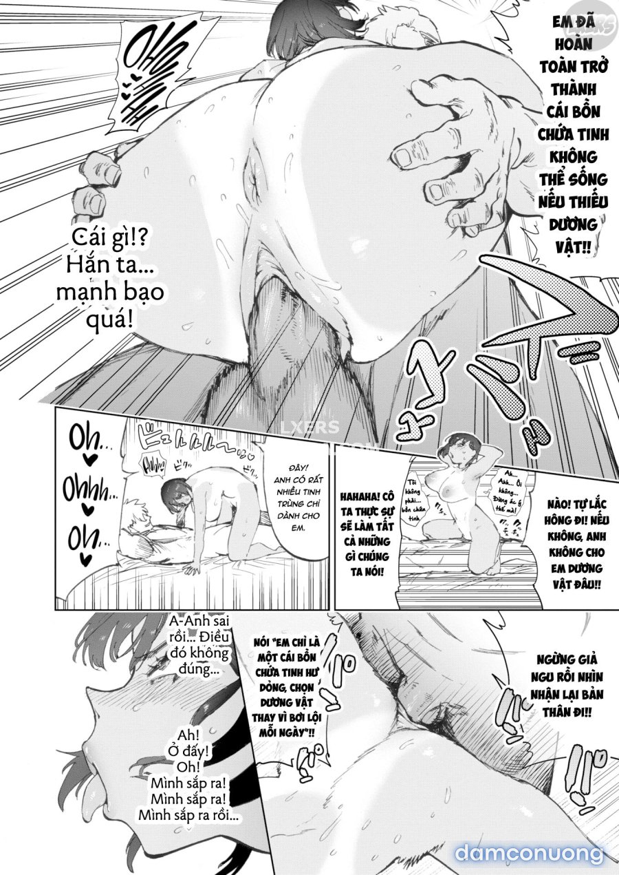 Miracle Dreams 