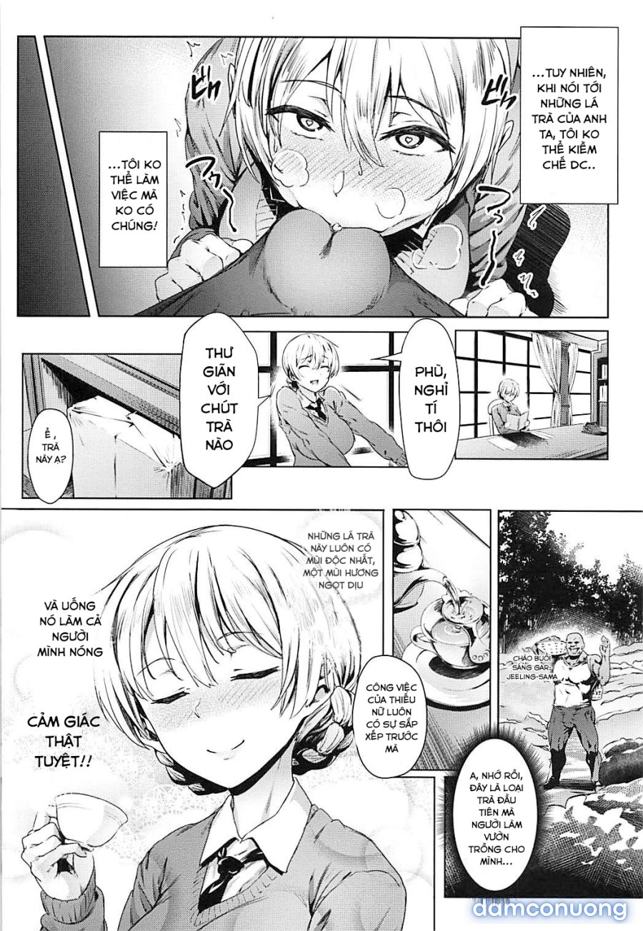 Darjeeling's Secret Tea Party 