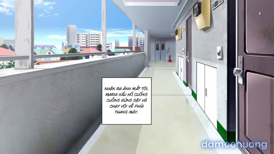 Vận may bất ngờ!! 