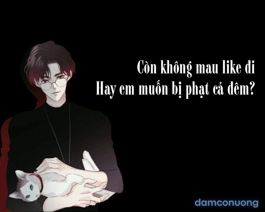 Kẻ quấy rối vô liêm sỉ 