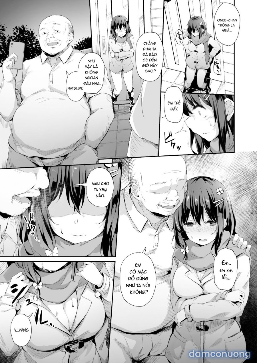 Fallen Leaves Diary 