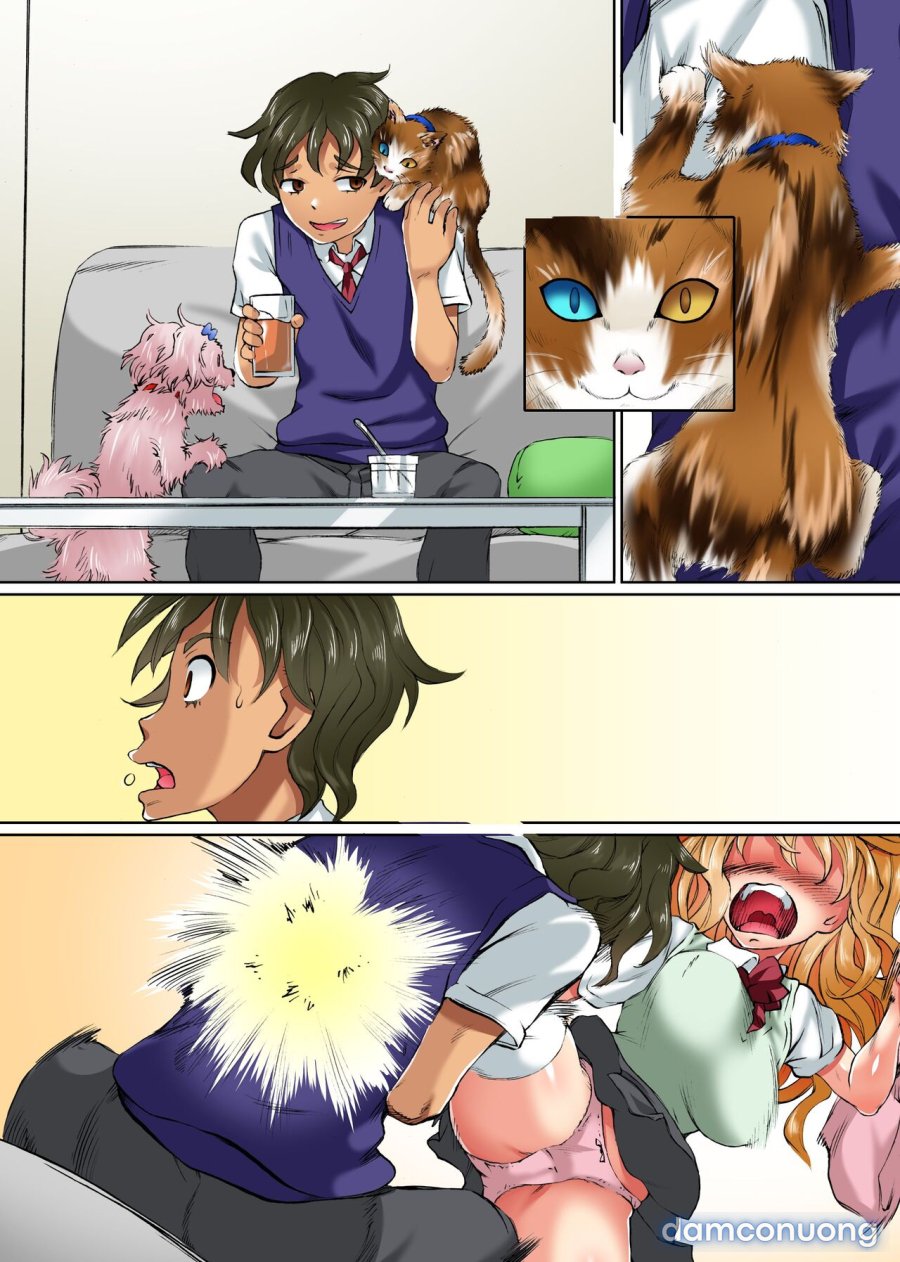 Anoko mo Konoko mo Hyoui de Hatsujou 