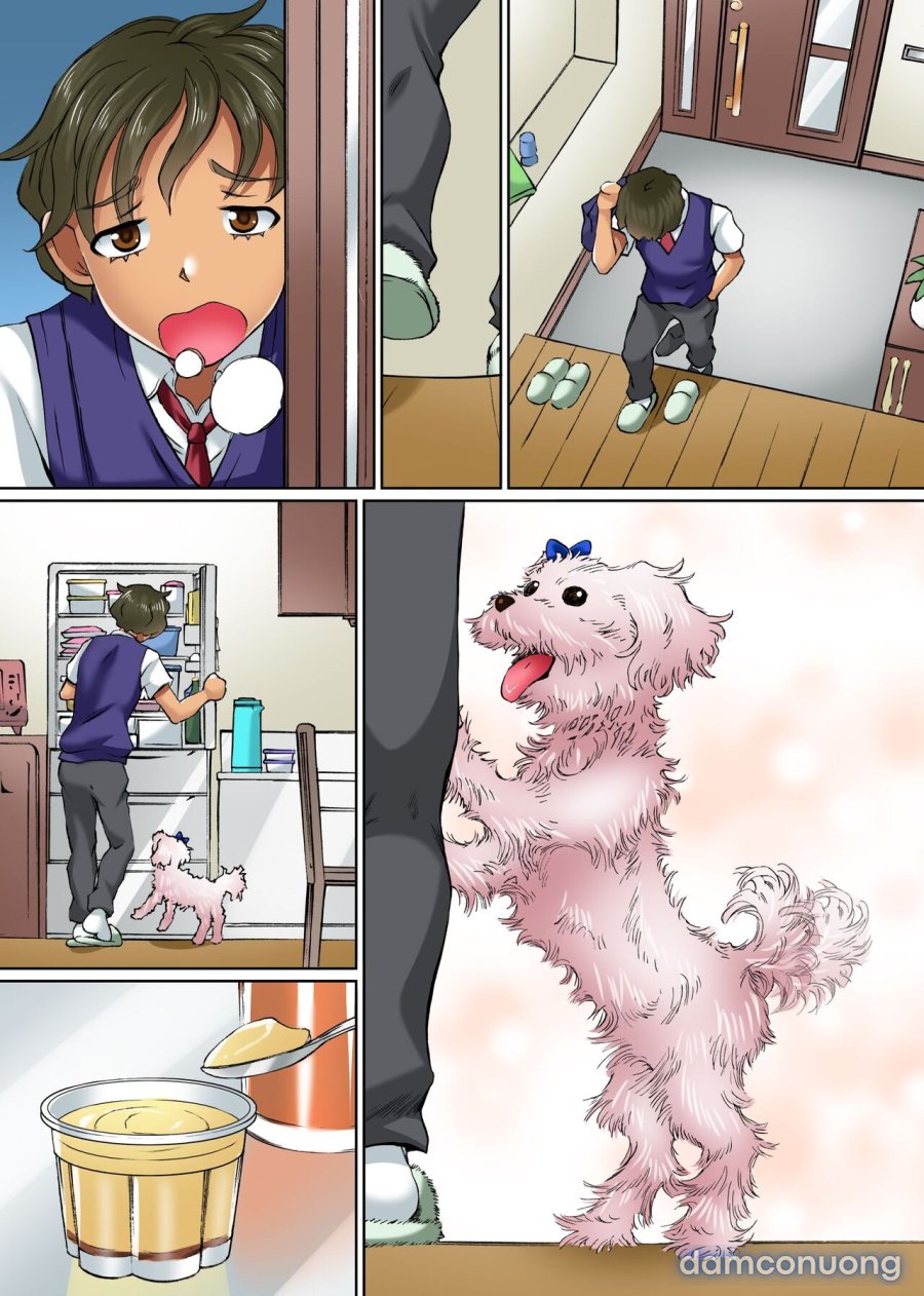 Anoko mo Konoko mo Hyoui de Hatsujou 